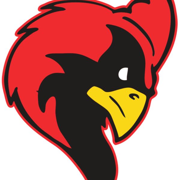 AR CARDINAL 24 RC Thumbnail