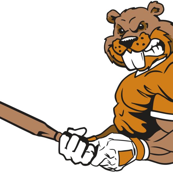 AR4 BEAVER 05 RQC Thumbnail