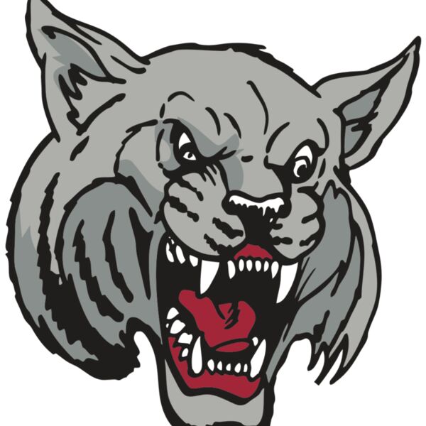 AR WILDCAT 42 RC Thumbnail