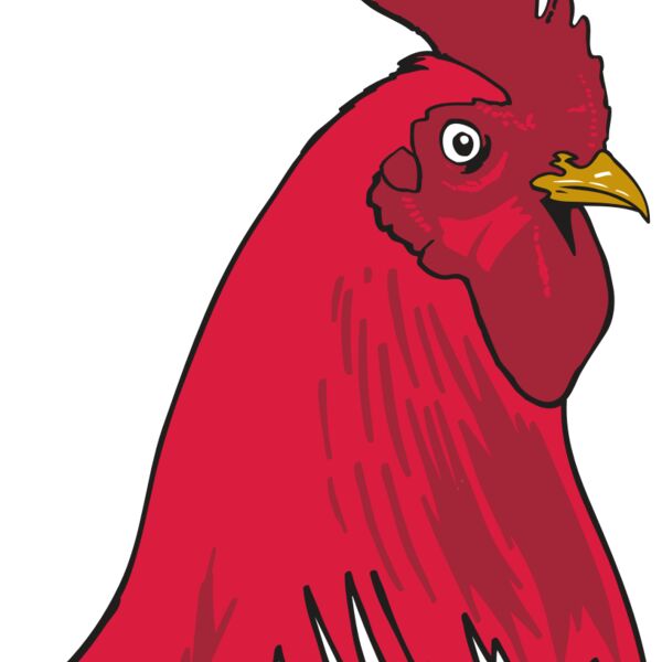 AR OTHER 19 RC Thumbnail